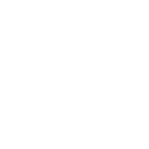 Website Designer